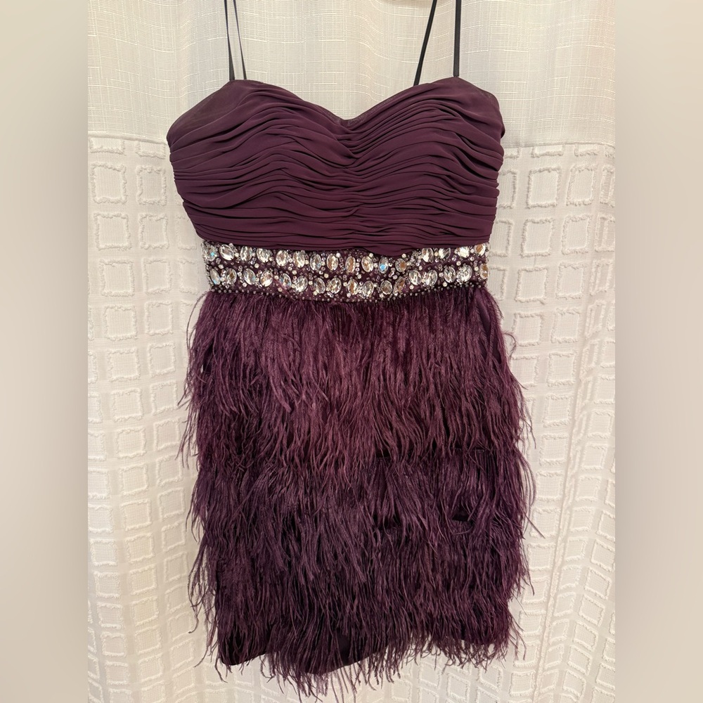 Bee Darlin Elegant Purple Feathered Dress